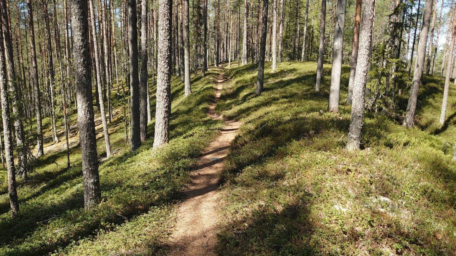 Mountain Lodge Stöten Eksteriør billede